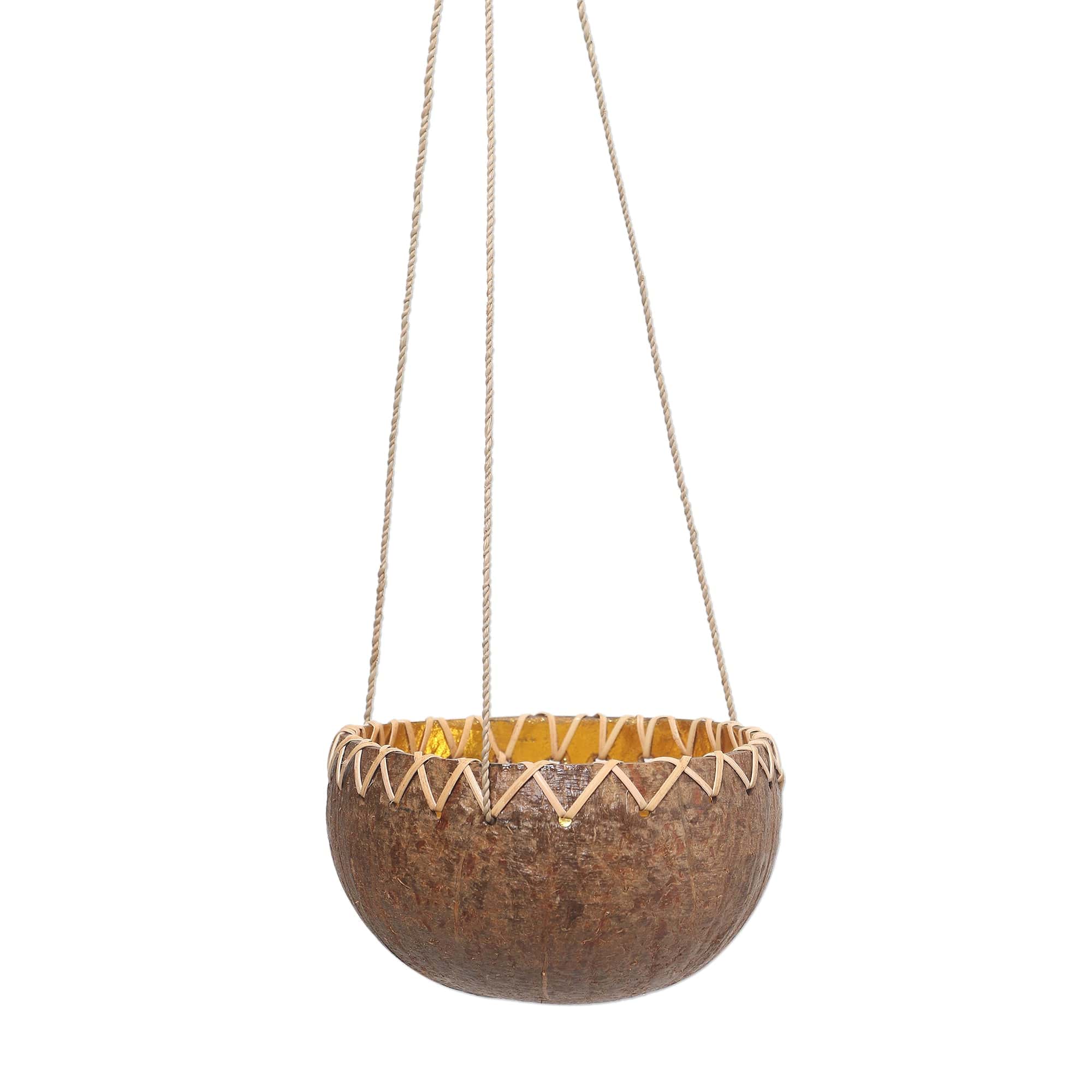 coconut hanging planter Hanging Coconut Shell Plant Pot