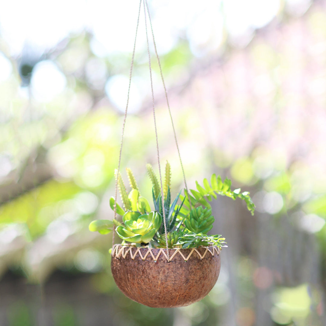 Hanging Coconut Shell Plant Pot - In the Rough