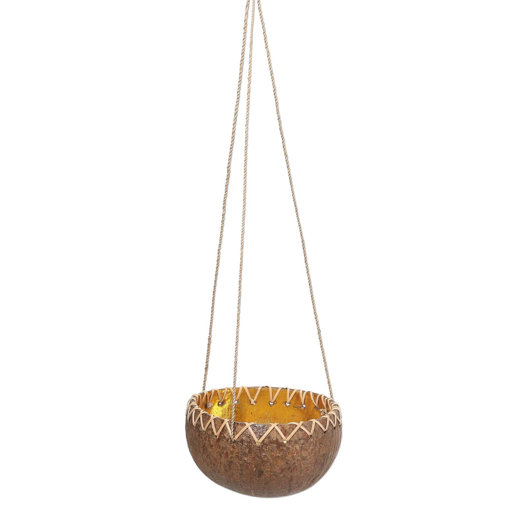 Hanging Coconut Shell Plant Pot - In the Rough