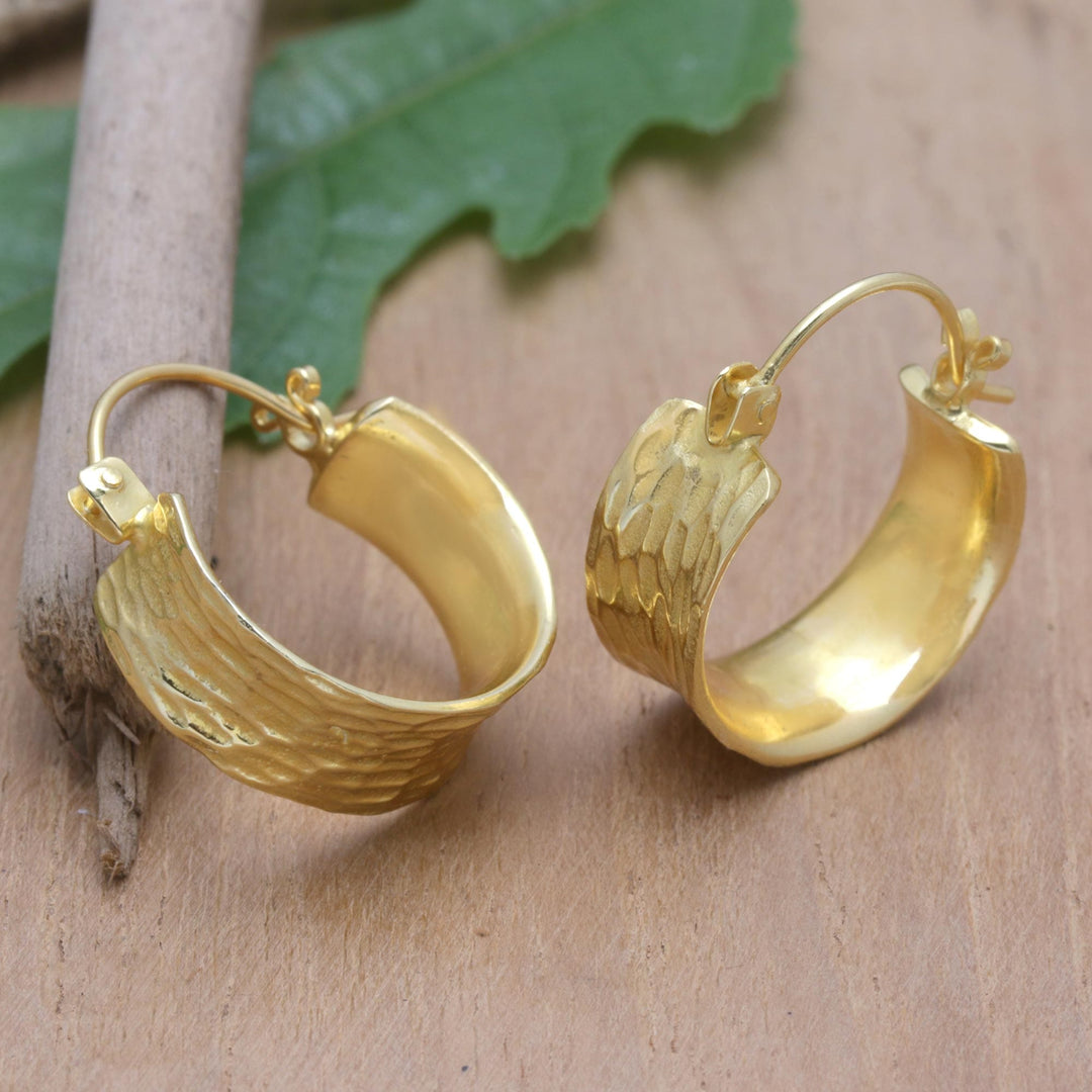 18k Gold-Plated Modern Hoop Earrings - Jump Through The Ring