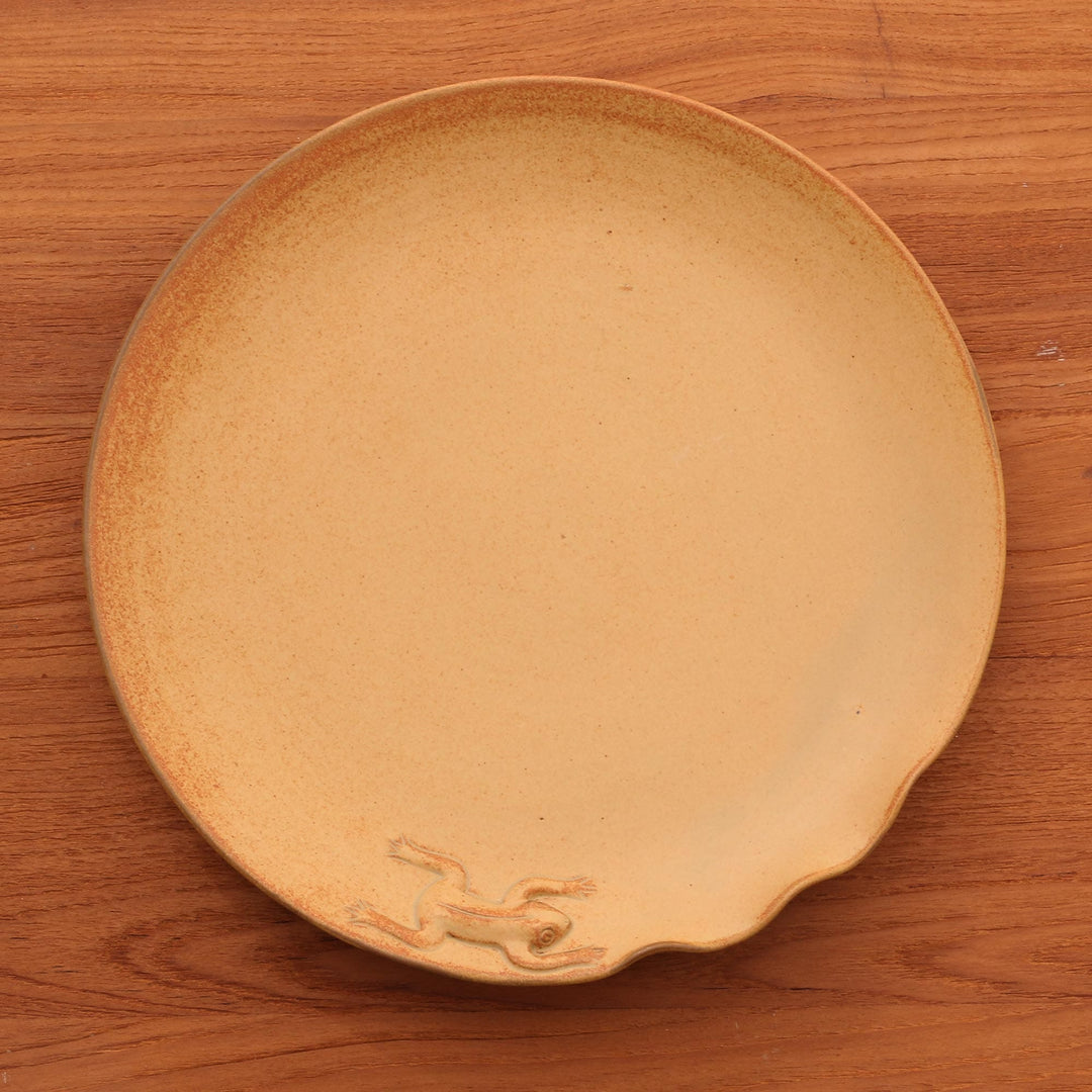 Handmade Ceramic Plate - Rain Frog
