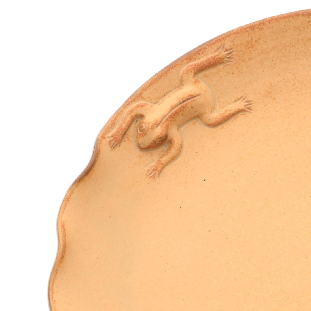 Handmade Ceramic Plate - Rain Frog