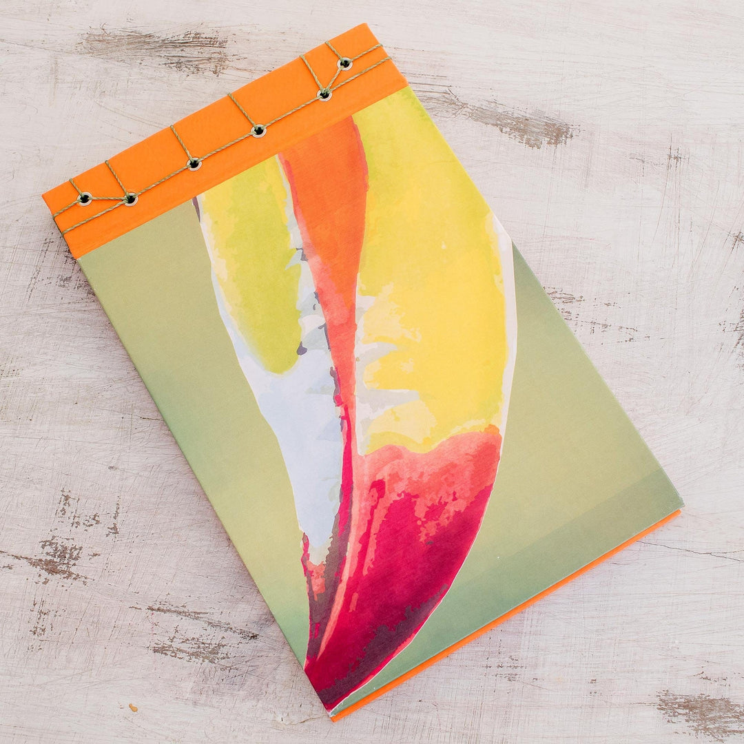 Toucan Beak