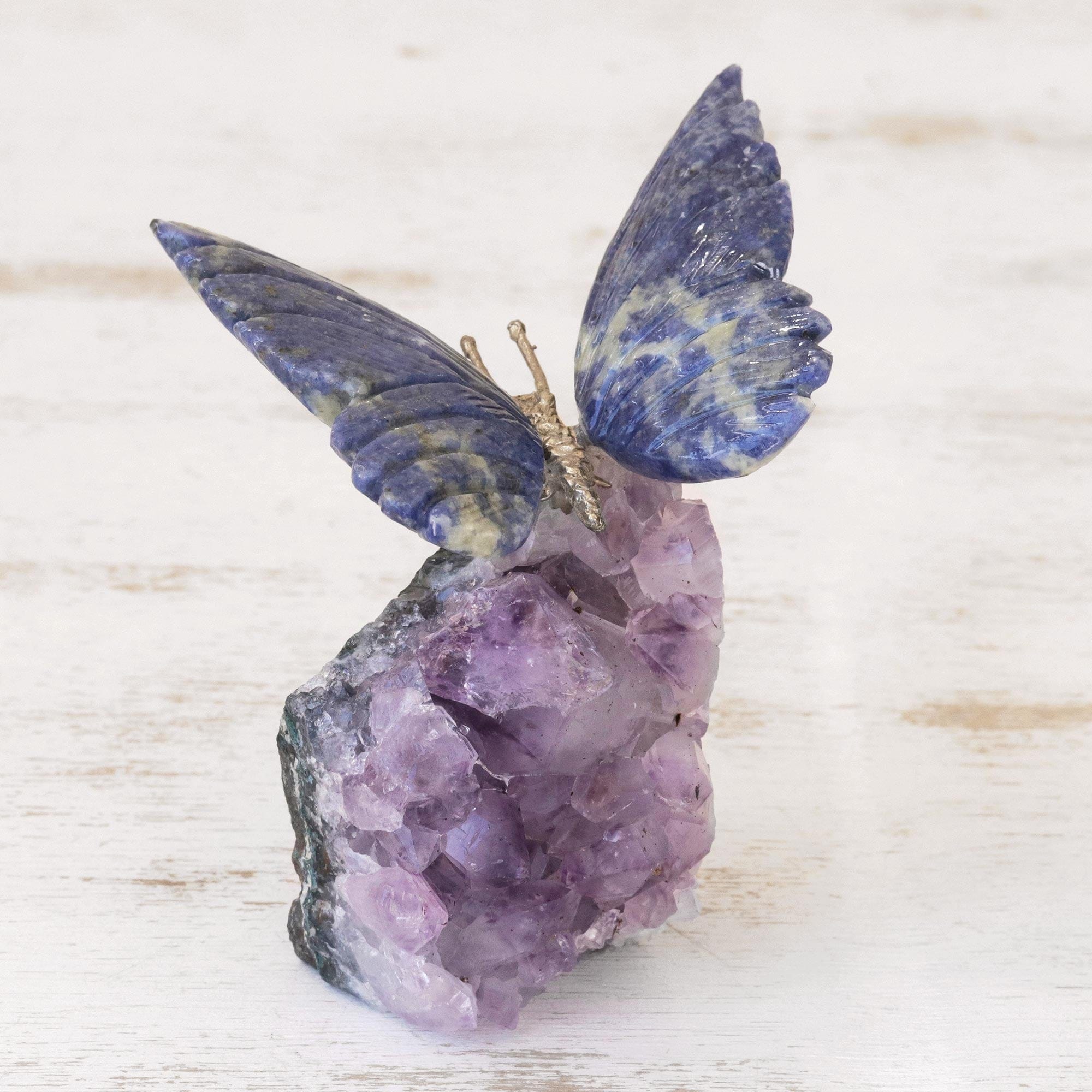 Blue Morpho, Bluebottle and Purple Emperor Butterfly Pin Set – Botanical  Bright - Add a Little Beauty to Your Everyday