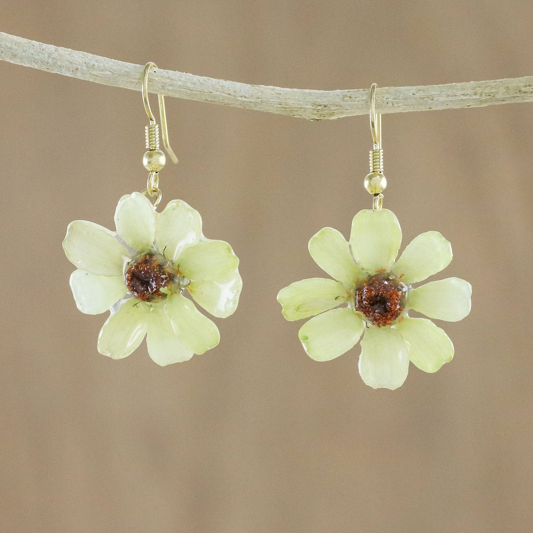 Resin Coated Natural Zinnia Dangle Earrings - Yellow Summertime Zinnia