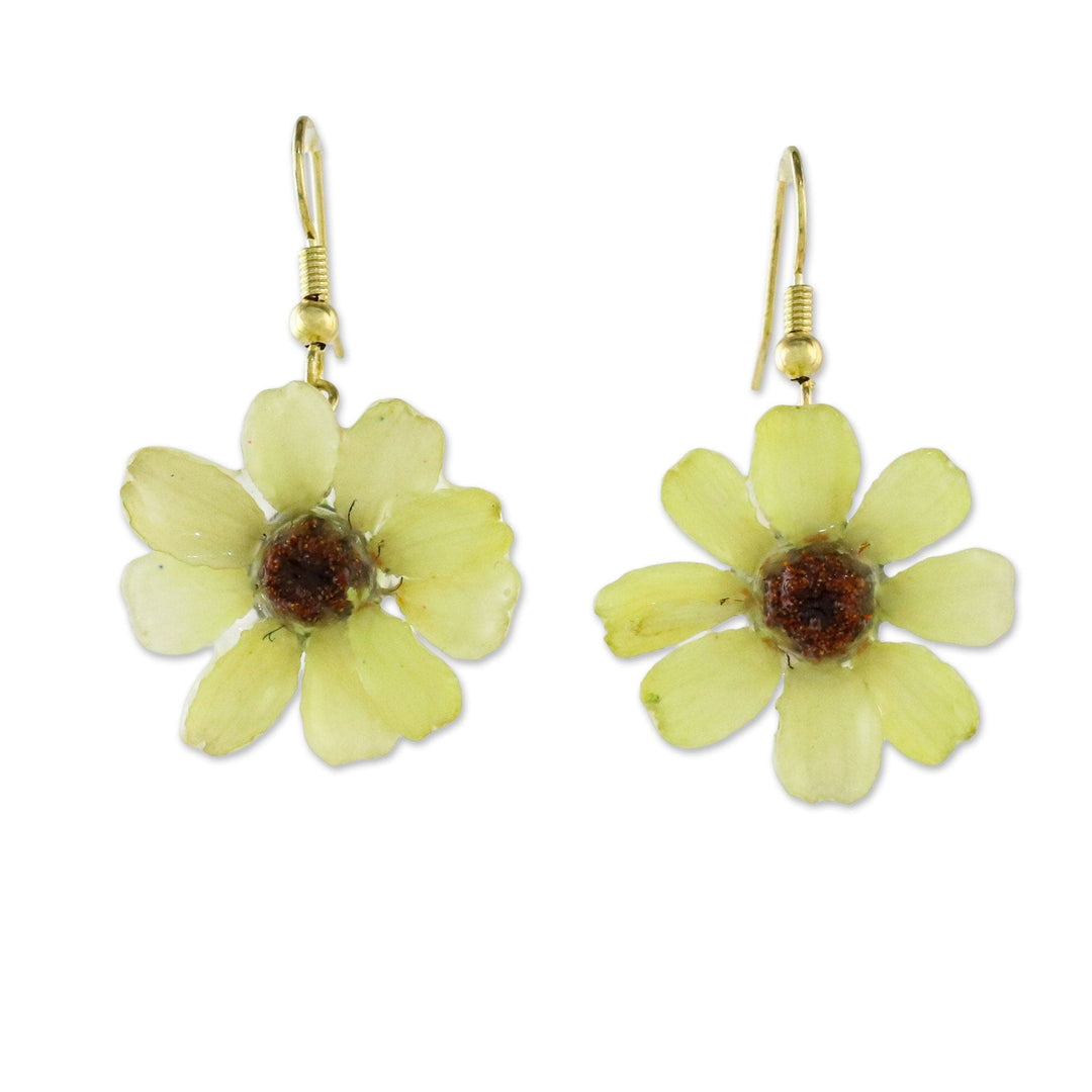 Resin Coated Natural Zinnia Dangle Earrings - Yellow Summertime Zinnia