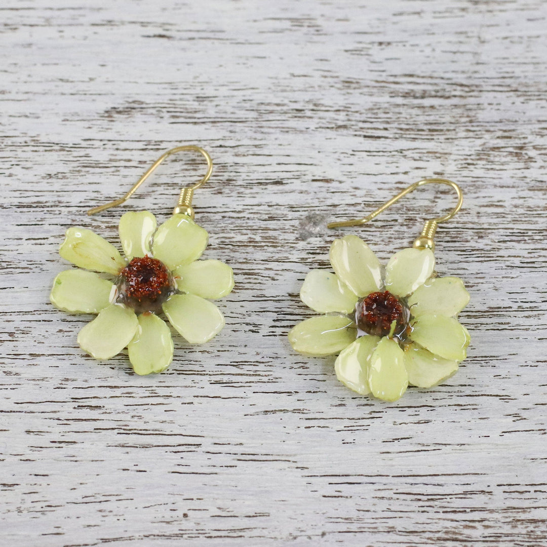 Resin Coated Natural Zinnia Dangle Earrings - Yellow Summertime Zinnia