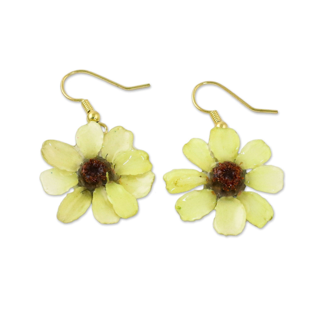 Resin Coated Natural Zinnia Dangle Earrings - Yellow Summertime Zinnia