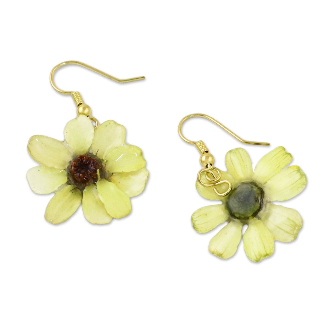 Resin Coated Natural Zinnia Dangle Earrings - Yellow Summertime Zinnia