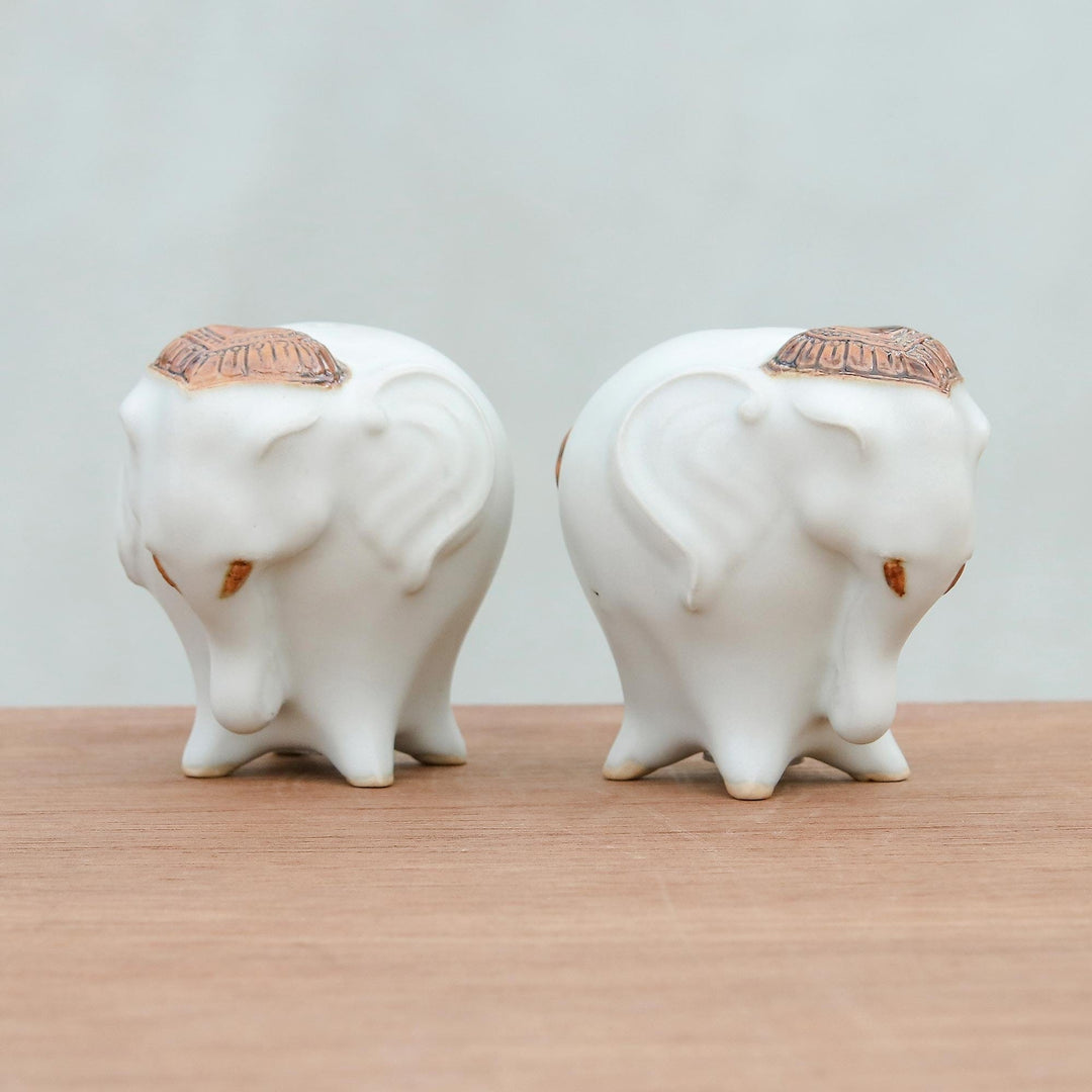 Calm Elephants in White