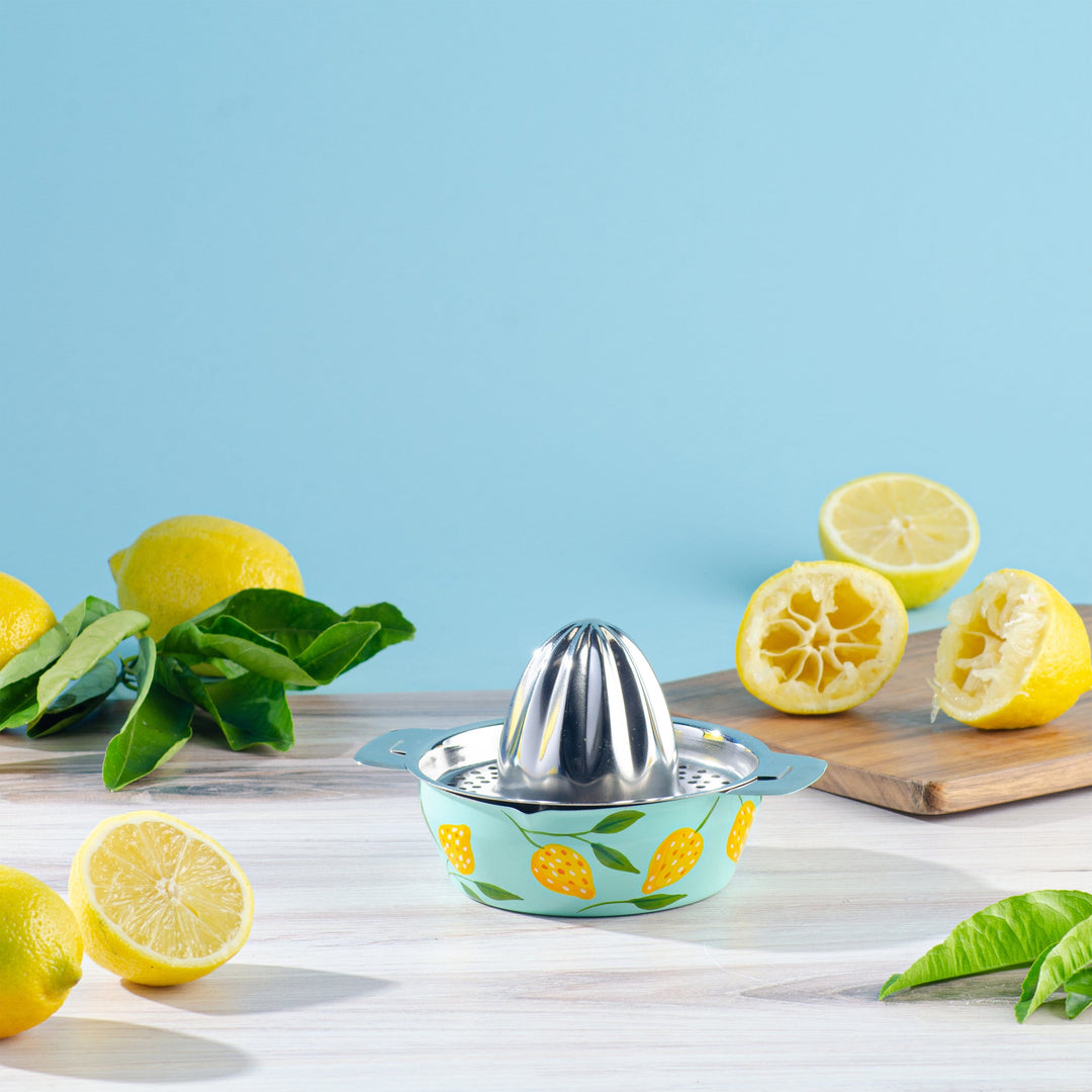 Handpainted Citrus Juicer