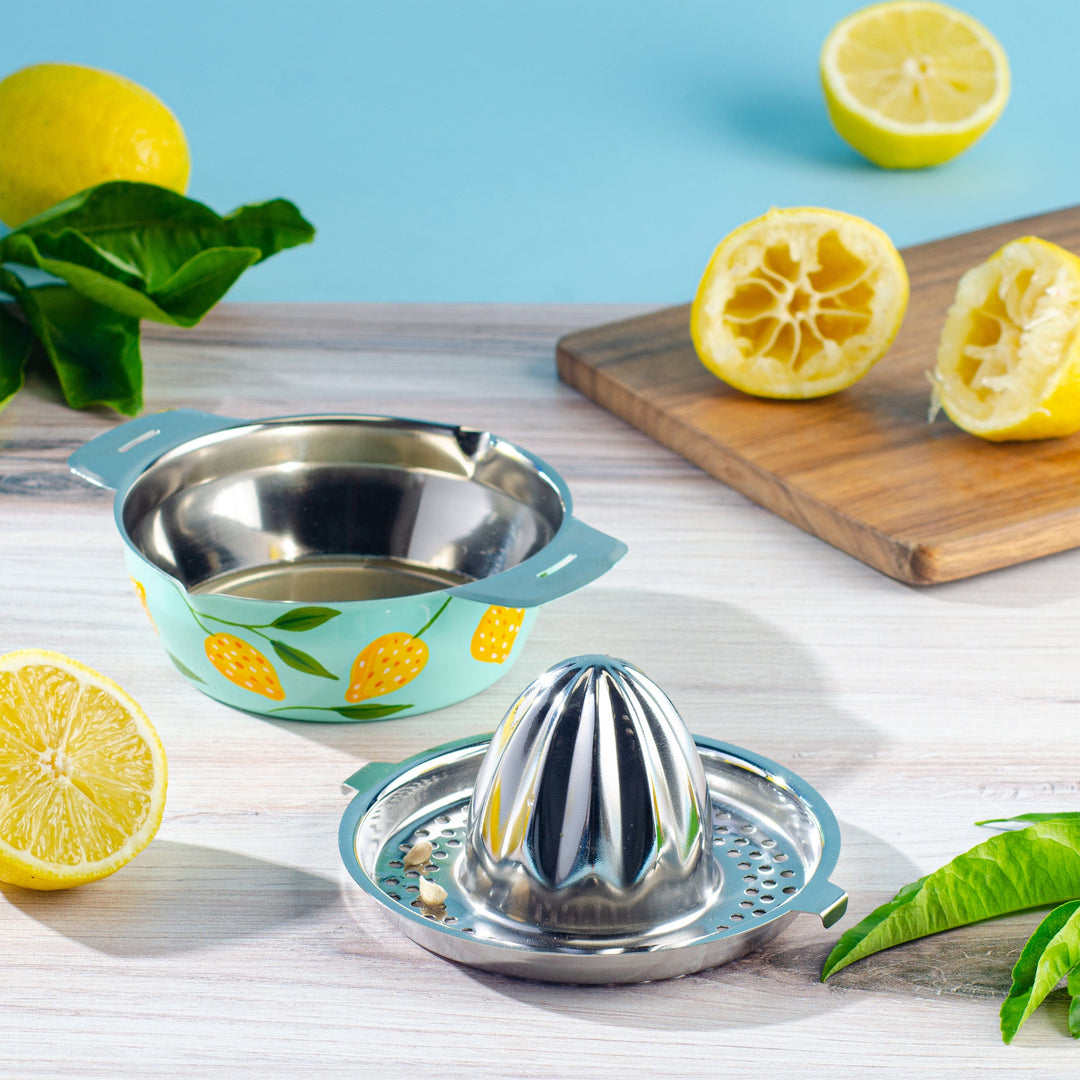 Handpainted Citrus Juicer