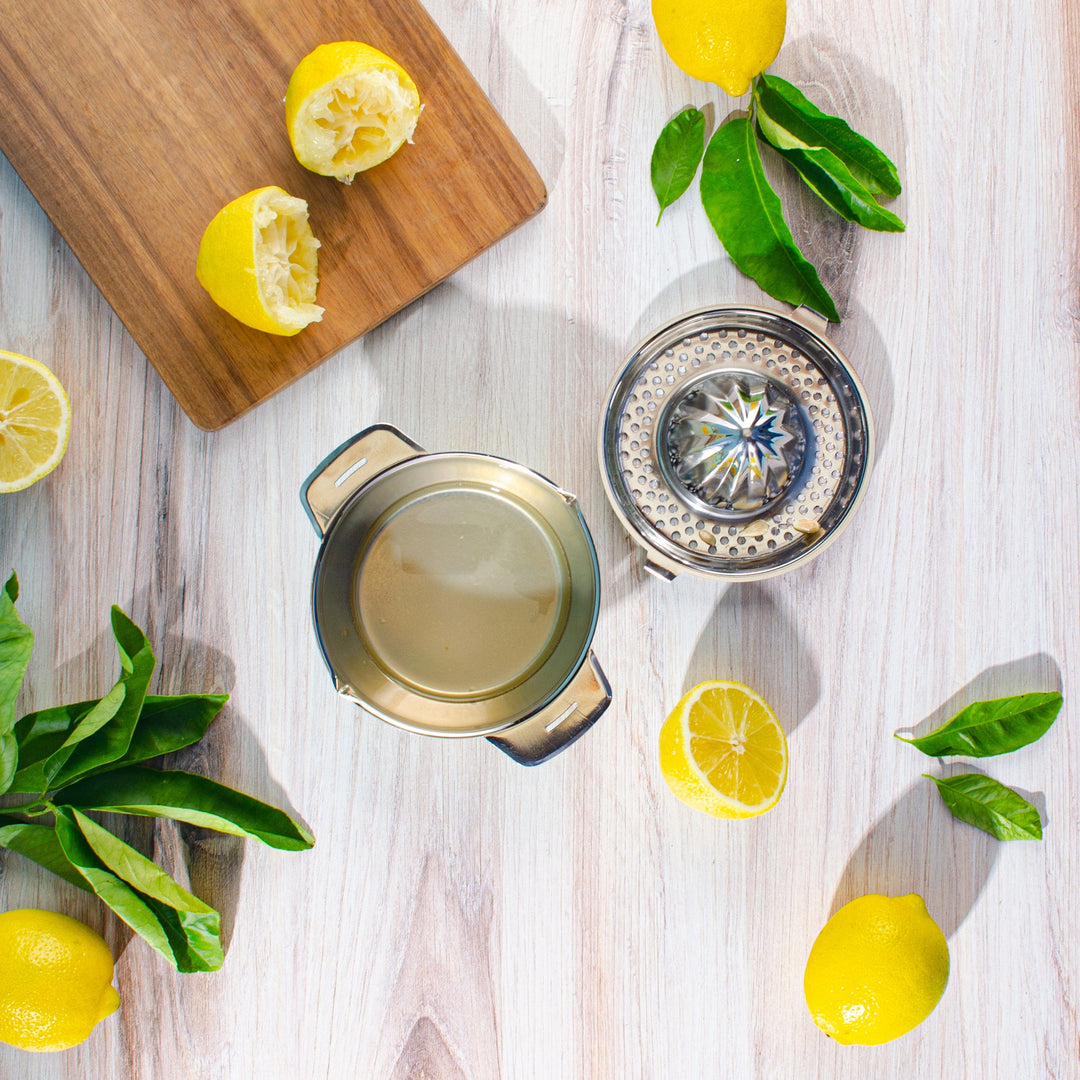 Handpainted Citrus Juicer