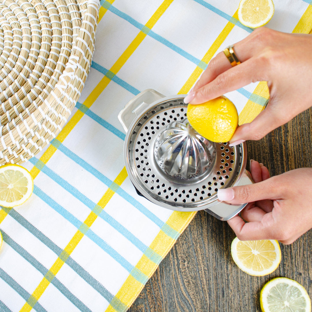 Handpainted Citrus Juicer