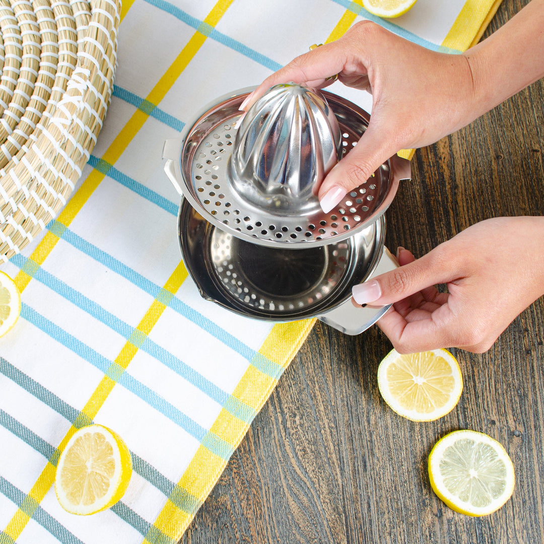Handpainted Citrus Juicer