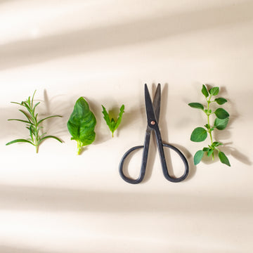 Small Gardening Scissors