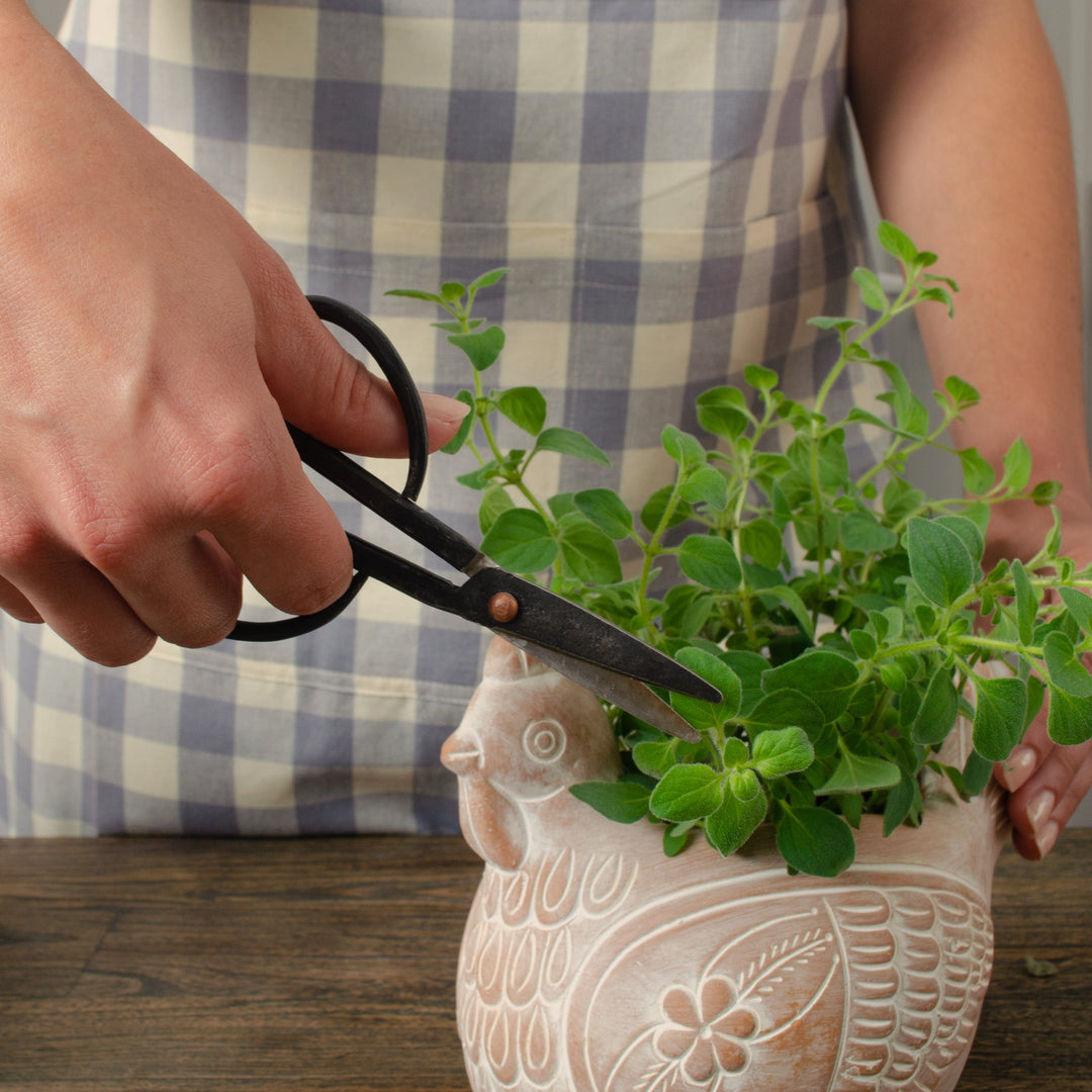 Small Gardening Scissors - Set of 2
