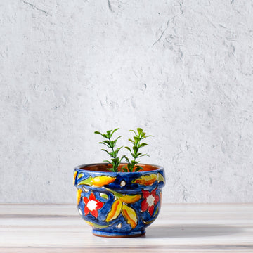 Small Handpainted Round Garden Planter - Multicolor Floral