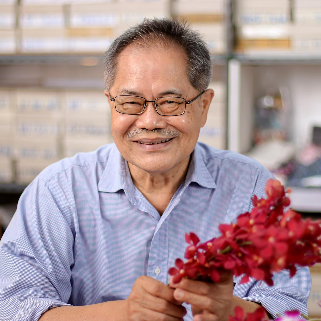 Natural Aster Flower Brooch in Cardinal Red from Thailand - Let It Bloom in Cardinal Red