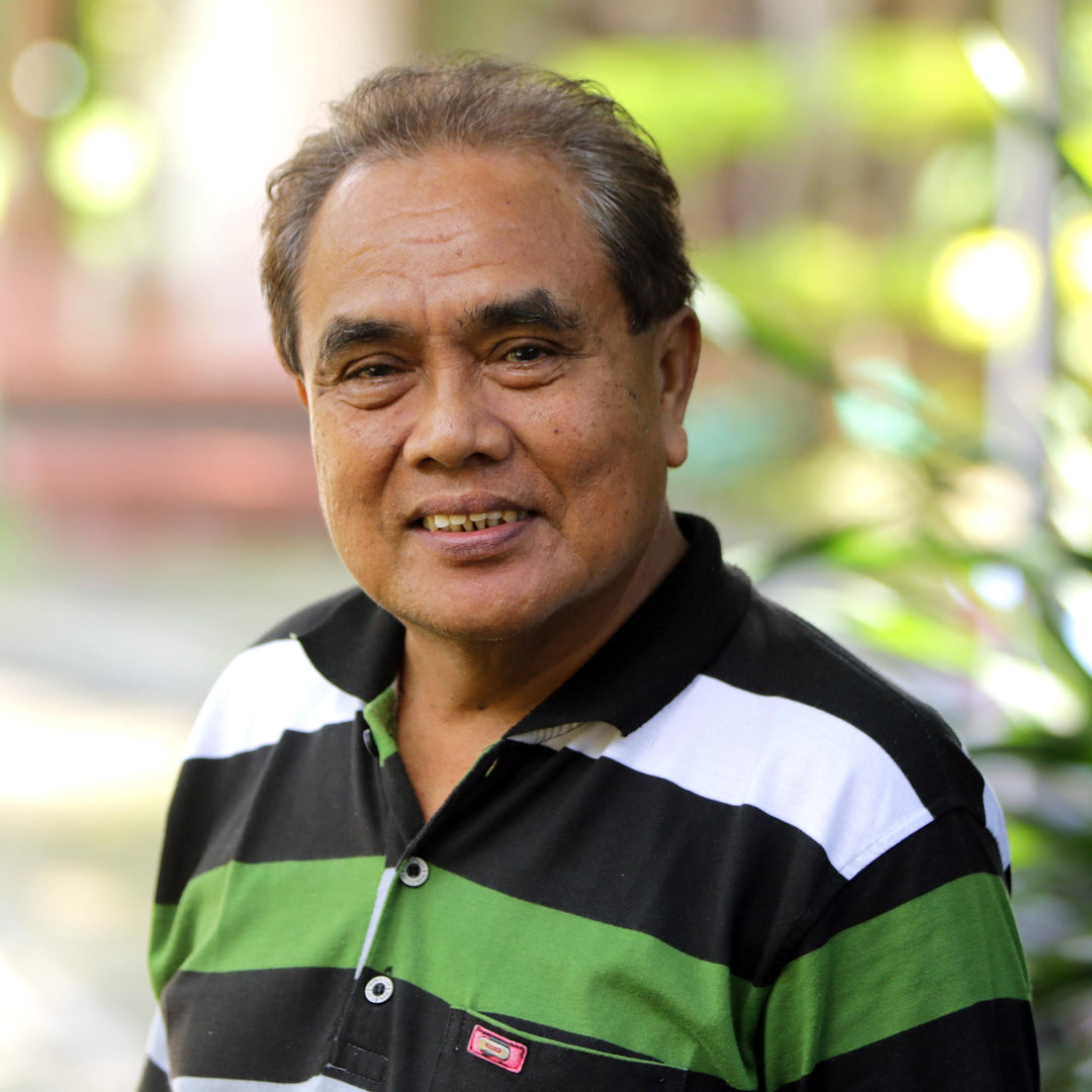 Pair of Blue and White Cotton Cushion Covers from Bali - Bedeg in Bali