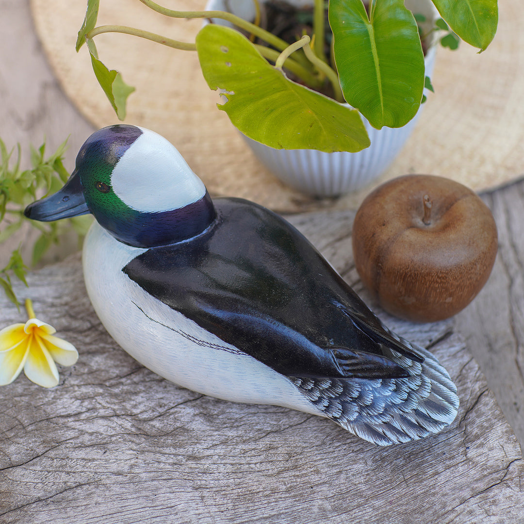 Wood Bird Sculpture - Male Bufflehead Duck
