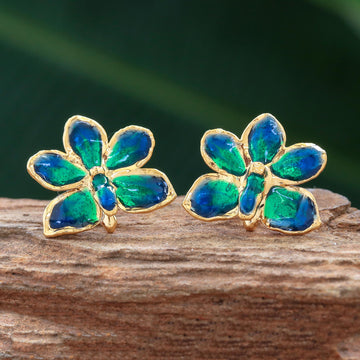 Aqua Perfection
