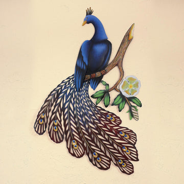 Sapphire Peacock