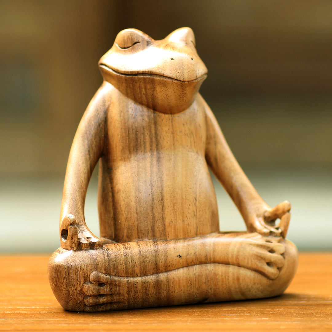 Frog Meditates