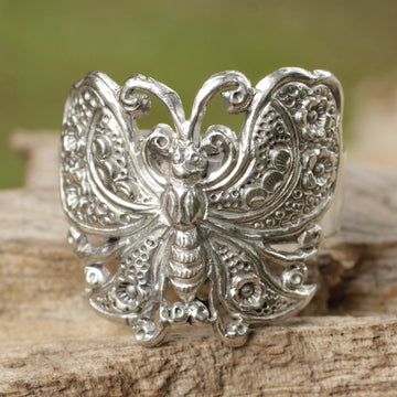 Spring Butterfly