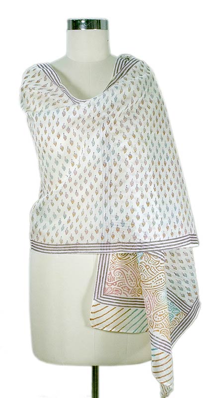 Cotton and Chanderi silk shawl - Paisley Paradise