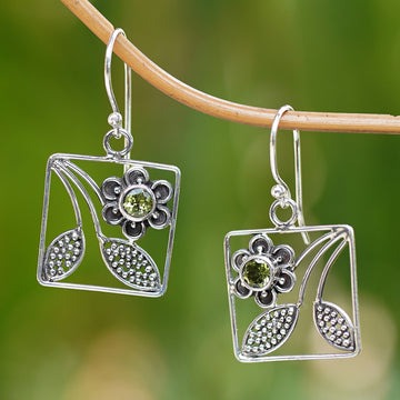 Bali Daisy