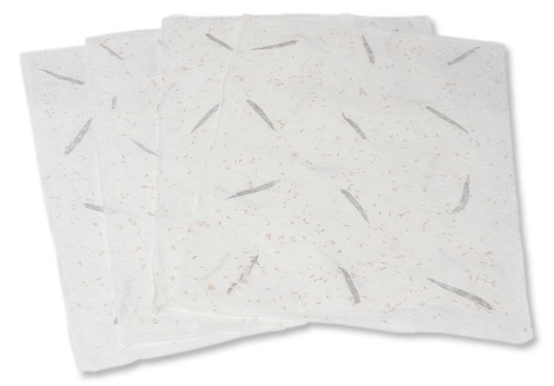 Artisan Crafted Saa Wrapping Paper (Set of 4) - Ferns and Buds