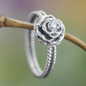 Glamorous Rose of June