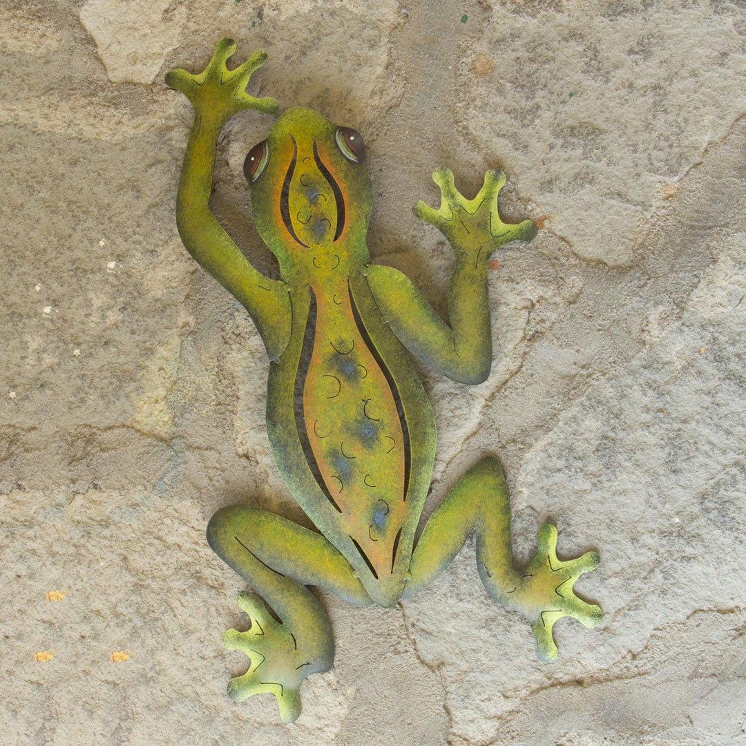 Mexican Tree Frog
