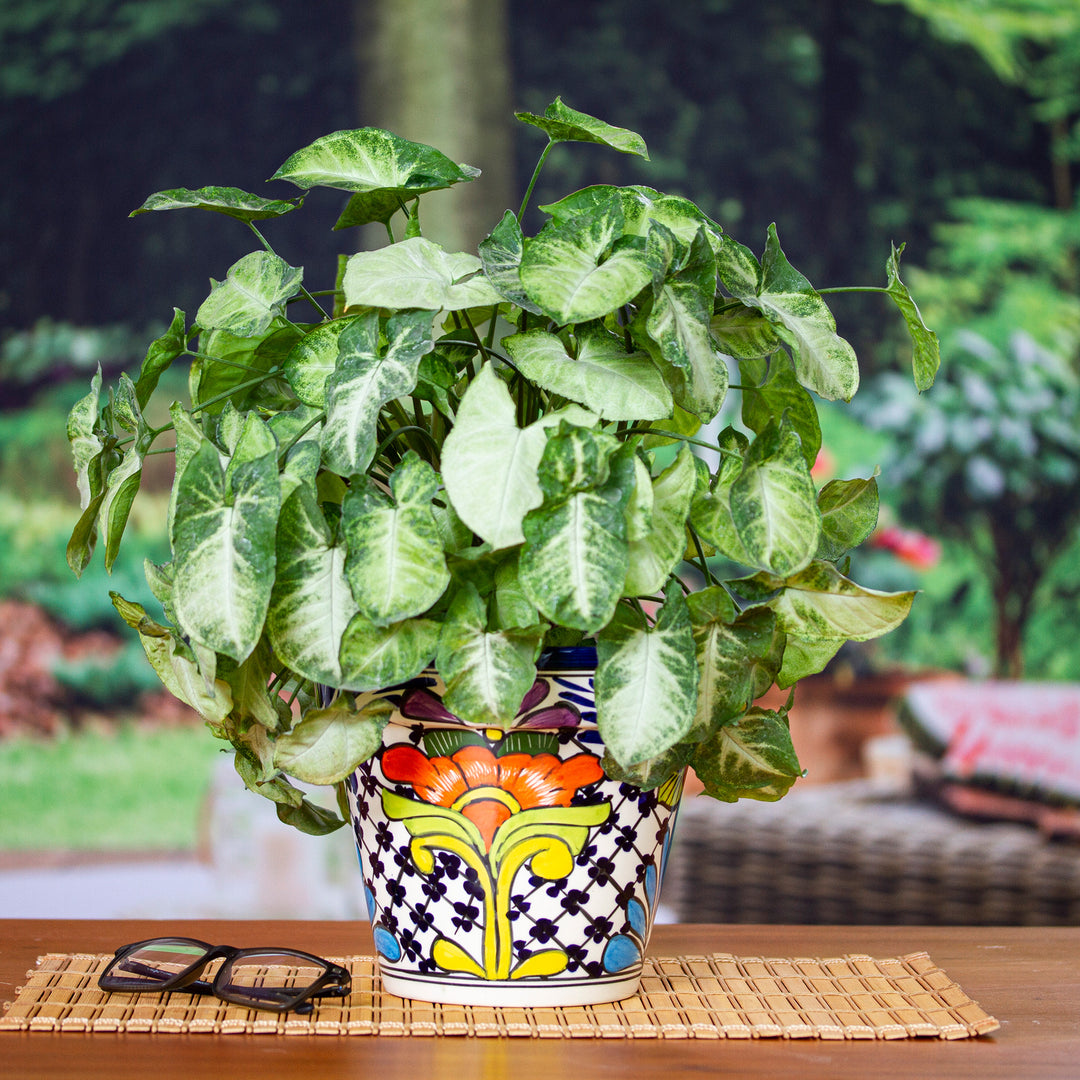 Majolica Ceramic Flower Pot - Wild Flowers