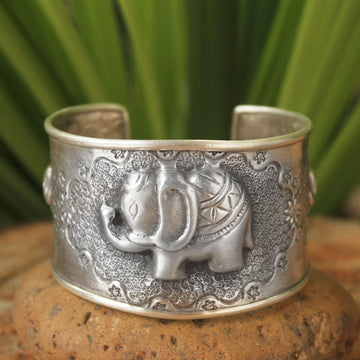 Hill Tribe Elephants