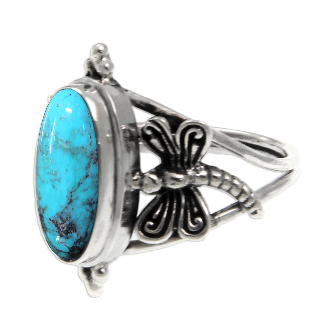 Dragonfly Sky