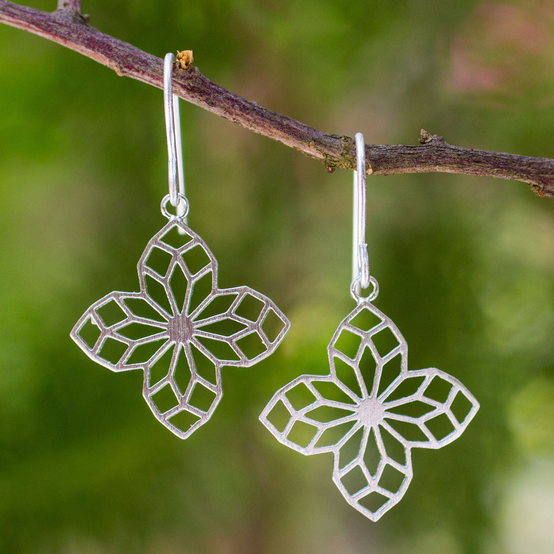 Blossoming Stars