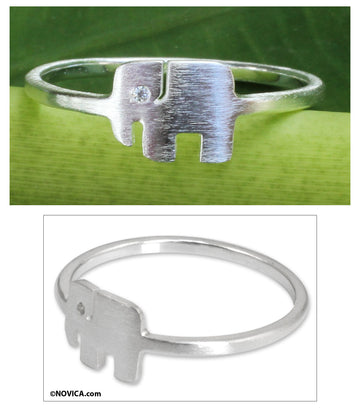Loyal Elephant
