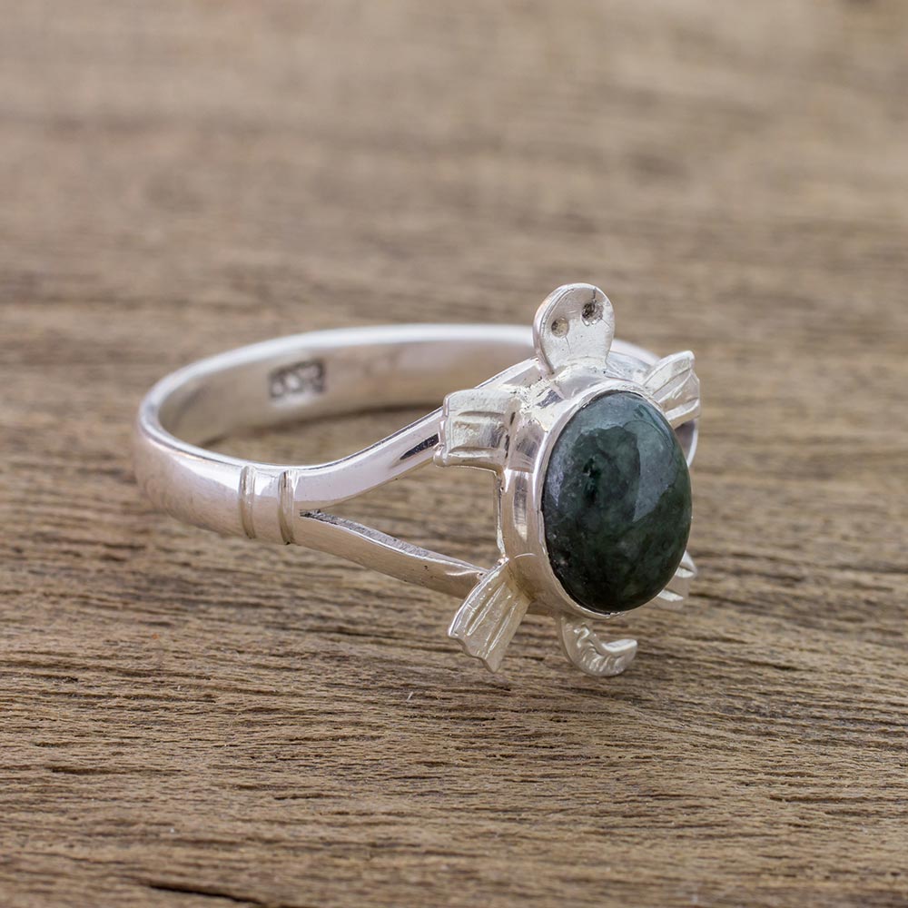 Dark Green Marine Turtle