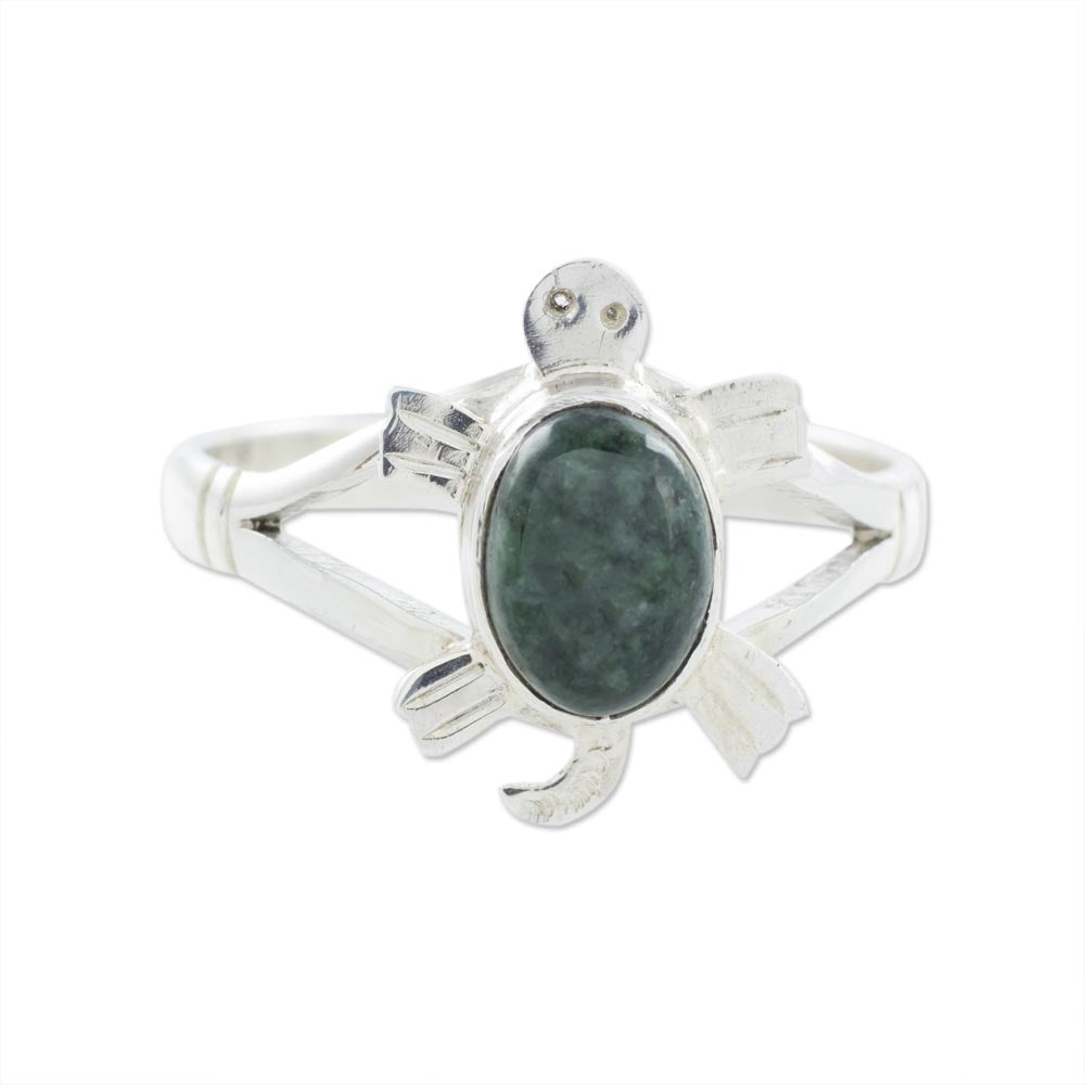 Dark Green Marine Turtle