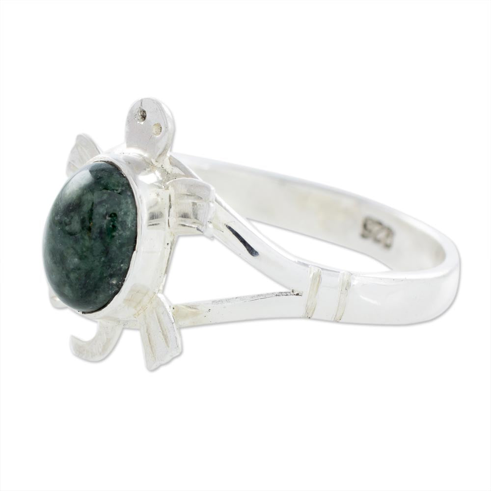 Dark Green Marine Turtle