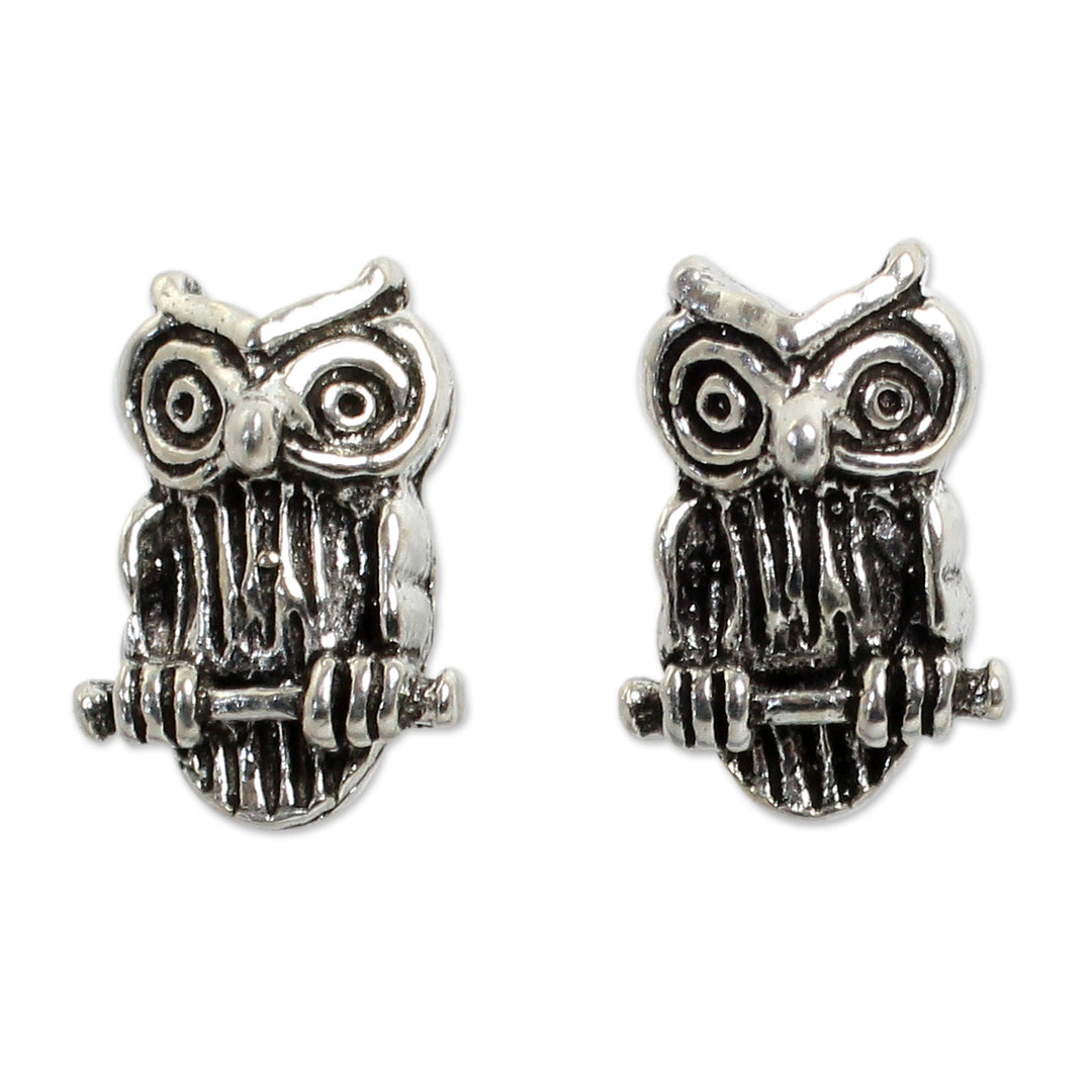 Silver Bird Theme Earrings - Wise Little Owl