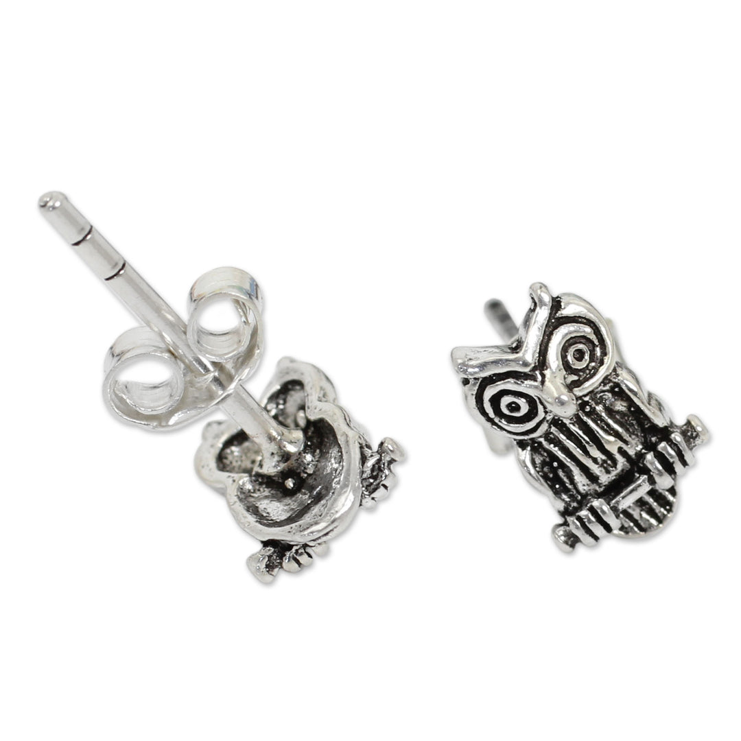 Silver Bird Theme Earrings - Wise Little Owl