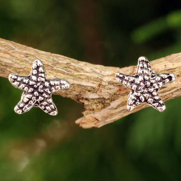 Baby Starfish