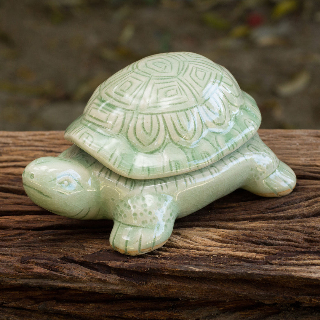 Green Thai Turtle