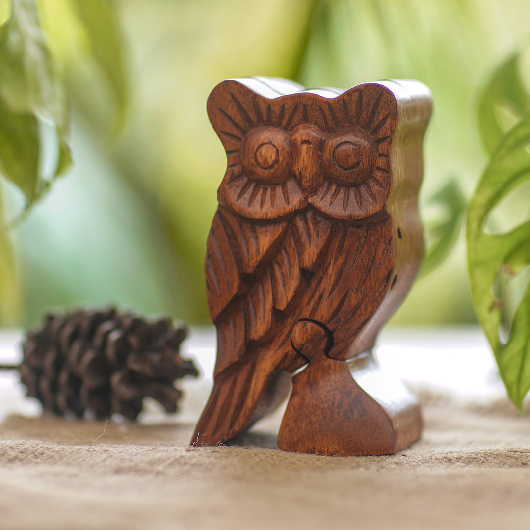 Owl Theme Wood Puzzle Box - The Owl's Secret