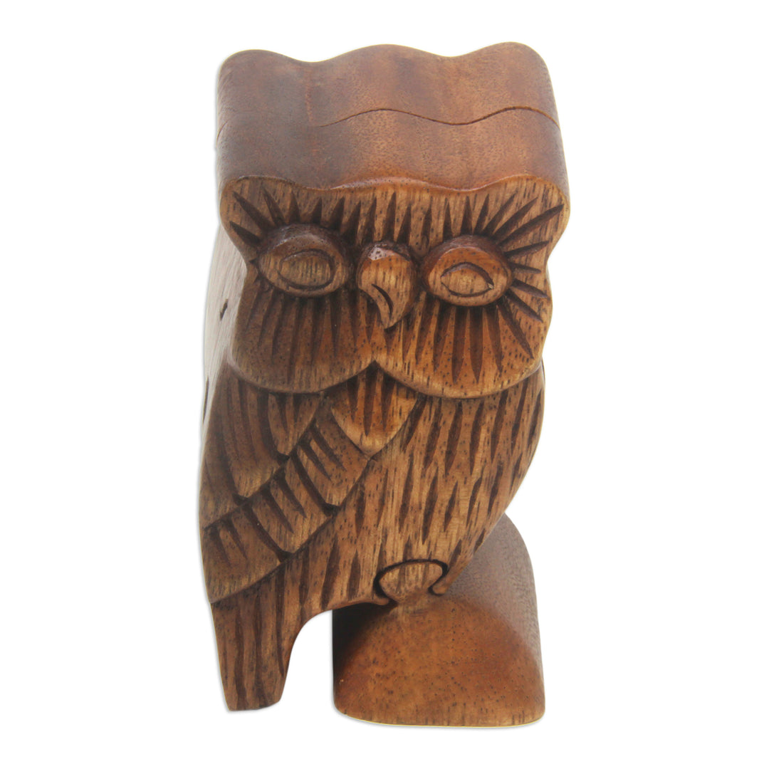 Owl Theme Wood Puzzle Box - The Owl's Secret