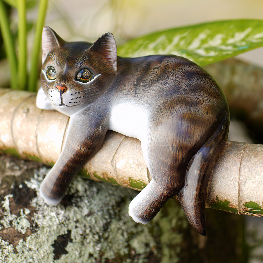 Tabby Cat Relaxes