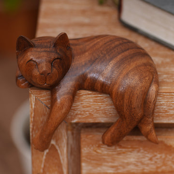 Smiling Cat Relaxes
